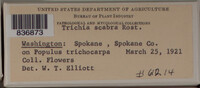 Image Associated With the Occurence